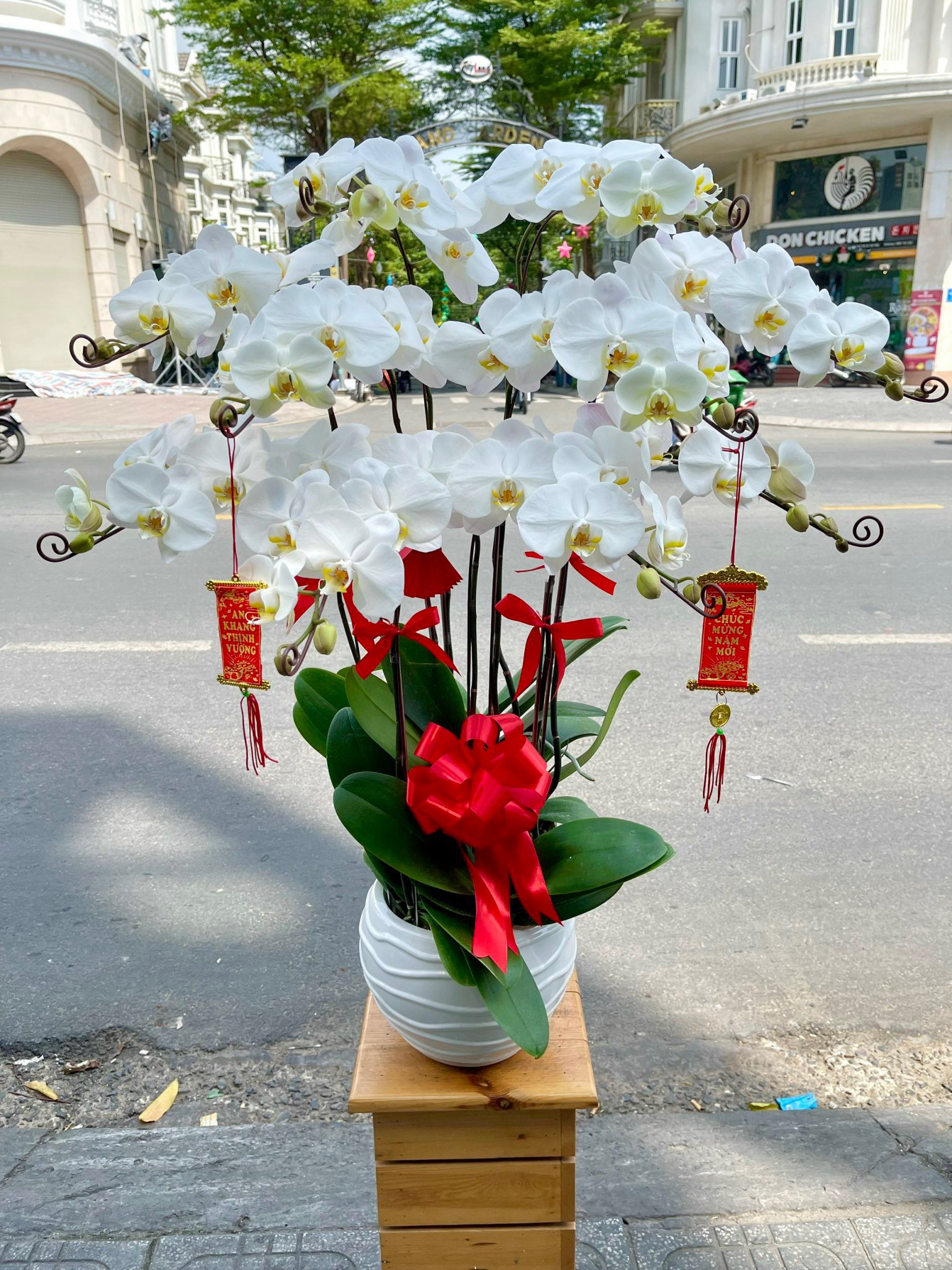 hoa lan hồ điệp