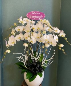 hoa tươi quận Tân Bình