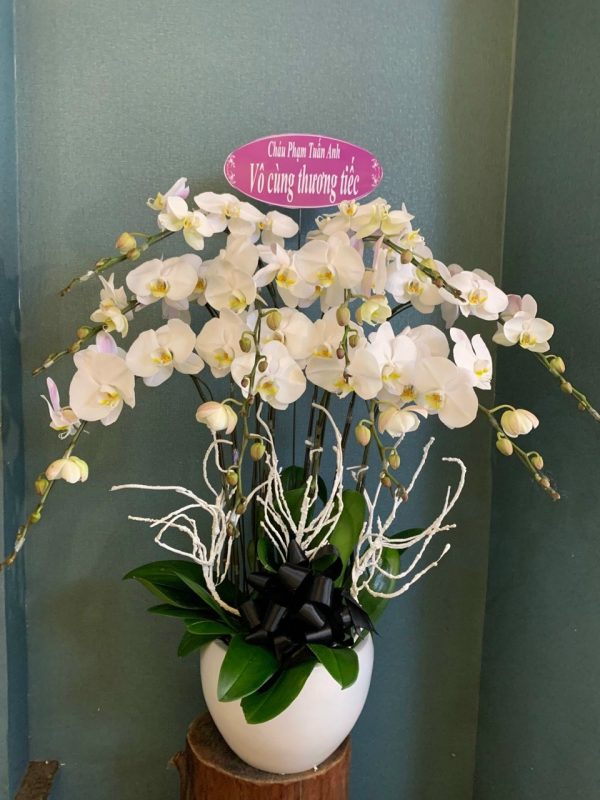 hoa chúc mừng quận 12