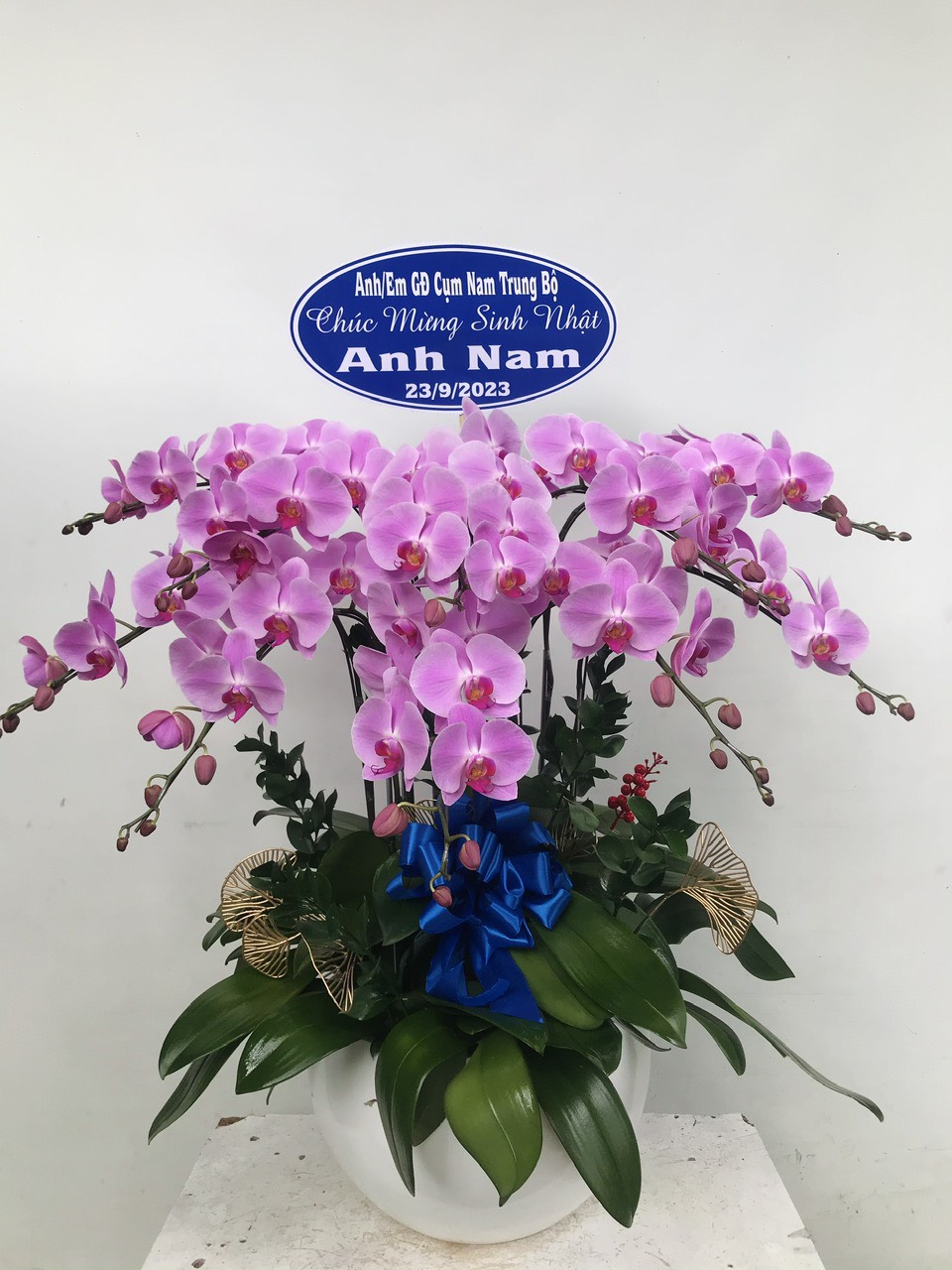 hoa lan hồ điệp