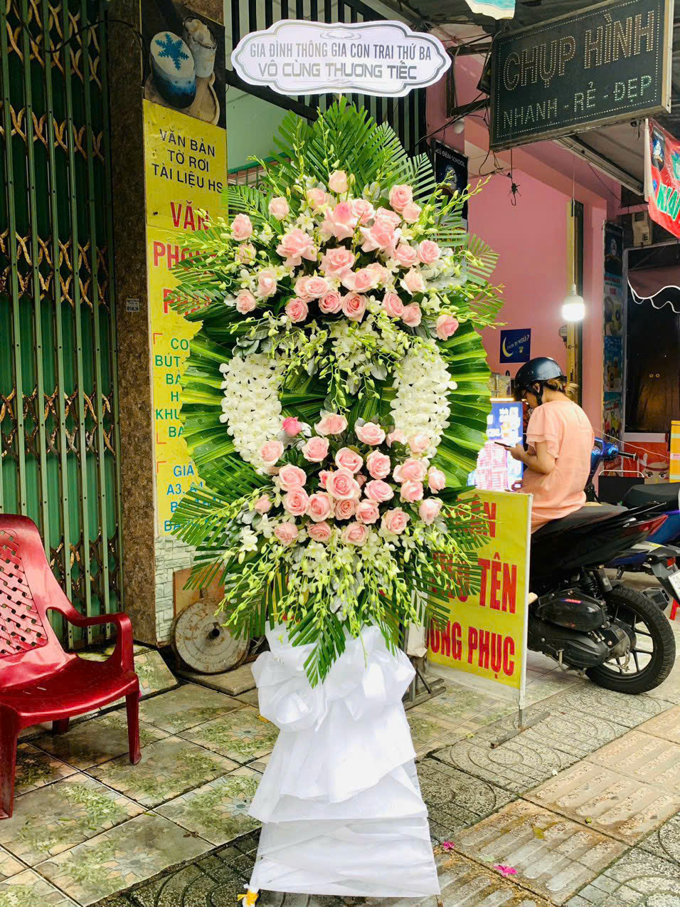 hoa lan hồ điệp