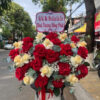 hoa lan hồ điệp