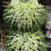 Kệ Hoa Chia Buồn Giữ Mãi Kỷ Niệm Đẹp – Mã 22 HOA CHIA BUON CO UT 22 hoa tuoi quan 12